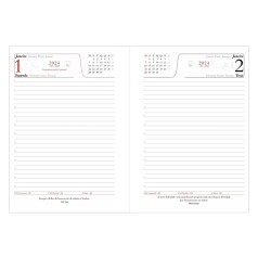 Agenda Diária 2025 Personalizada
